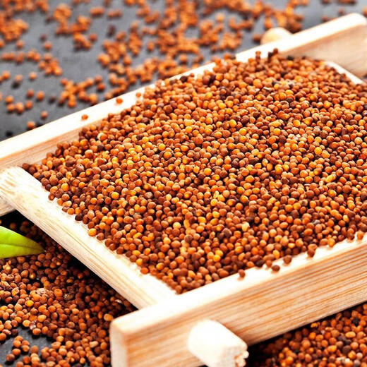 礼运堂北五味子中药材野生特级五味子菟丝子茶泡茶泡酒颗粒 2罐五味子500克