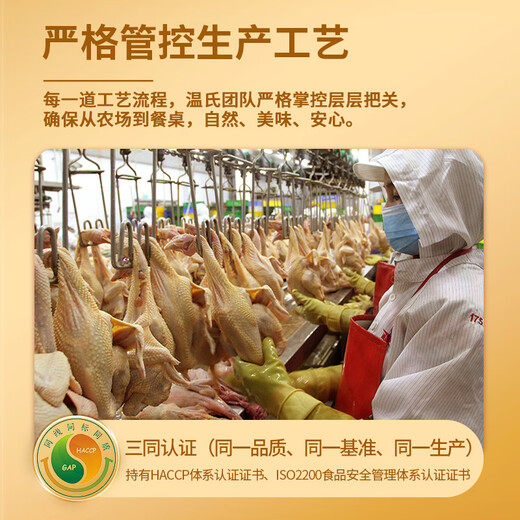 Wen's Hong Kong Bai Feng Black-bone Chicken 1.6 Jin Jin is equal to 0.5 kg Frozen confinement chicken soup ingredients more than 100 days Shiquan Silky Chicken