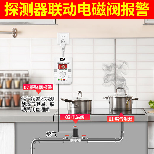 大九卫家用燃气泄漏报警器自动断气阀厨房煤气天然气液化气漏气报警切断 719小型餐饮报警器+钢瓶机械手
