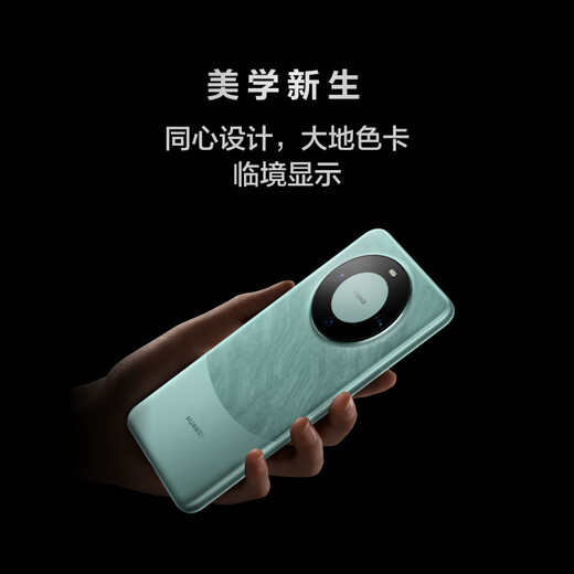 HUAWEI Mate 60 国家补贴500元 12GB+512GB 白沙银 超可靠玄武架构 华为鸿蒙智能手机
