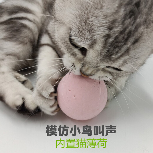 Mibei Meng Gravity Call Ball Makes Sound to Amuse Cat Toy Ball Birdie Calls Cat Mint Amuse Cat Artifact Cat Toy 3 Plush Balls (One of Each Kind) One Size