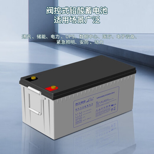 理士阀控密封式铅酸蓄电池 12V理士电池适用于UPS不间断电源、EPS电源 DJW12250S (12V250AH)