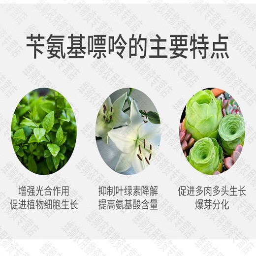Bisel benzylaminopurine bud bursting hormone flower bud expansion fruit tree vegetable plant growth regulator pesticide 500ml