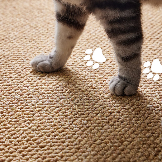 Yijian cat-scratch-proof Japanese-style carpet bedside blanket living room sofa bedroom room bedside bay window studio floor mat for photo taking camel 80*120cm