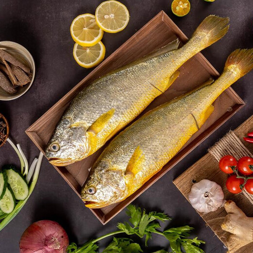 Sandu Port Frozen Three-Removed Large Yellow Croaker Net Weight 2Jin Jin is equal to 0.5kg / 2 packs Ningde Yellow Croaker Fresh Fish