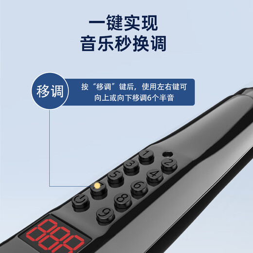 贝琪 BETSYBJD-02电吹管初学者中老年成人西洋吹奏管乐器萨克斯葫芦丝笛子 升级款（13种音色）+音响
