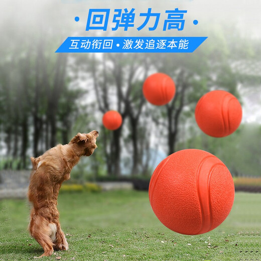 Pochido Dog Toy Ball Small Teeth Resistant Elastic Ball Teddy Self-Enjoyment Relief Solid Rubber Ball Pet Training