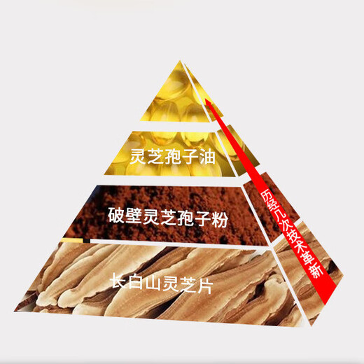 Authentic Ganoderma lucidum spore oil soft capsule Changbai Mountain broken Ganoderma lucidum spore powder extracted authentic Linzhi robe oil grains FDA export 60 capsules in a bottle