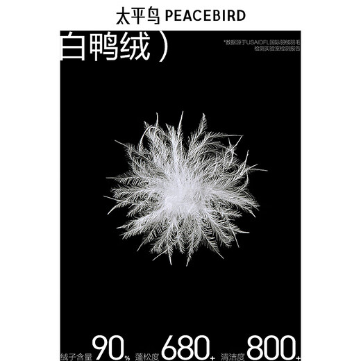太平鸟男装 美式复古面包服冬季新款宽松潮流羽绒防寒服男 深棕色 第一批 L