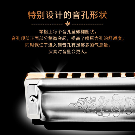 SEYDEL德国进口SEYDEL赛德 十孔10蓝调成人口琴 1847 CLASSIC 10孔LC调