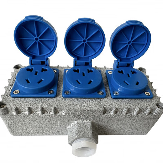 Explosion-proof switch, explosion-proof socket, explosion-proof button, explosion-proof five-hole socket 86 switch panel switch plug row, explosion-proof Ling, single 5-hole/10A (new style)