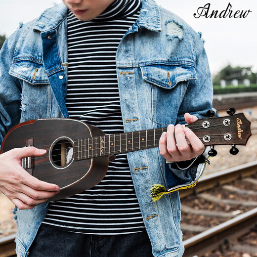 安德鲁（ANDREW）水冬瓜【菠萝形】尤克里里女男生初学者小吉他儿童小吉他 23寸全木+配件+加棉包