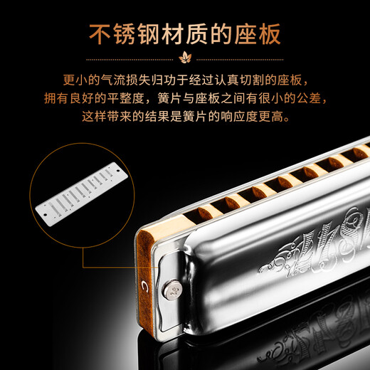 SEYDEL德国进口SEYDEL赛德 十孔10蓝调成人口琴 1847 CLASSIC 10孔LC调