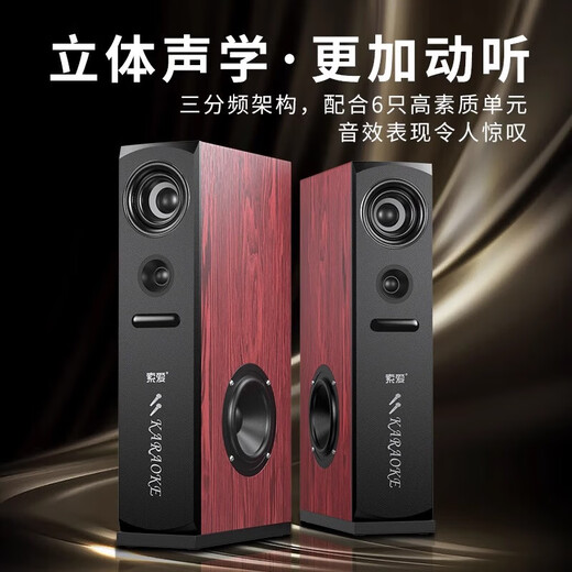 索爱（soaiy）K25家庭影院KTV音响蓝牙电视客厅会议环绕家用卡拉OK低音炮K歌唱歌组合落地音箱 K22家庭KTV音响+双话筒