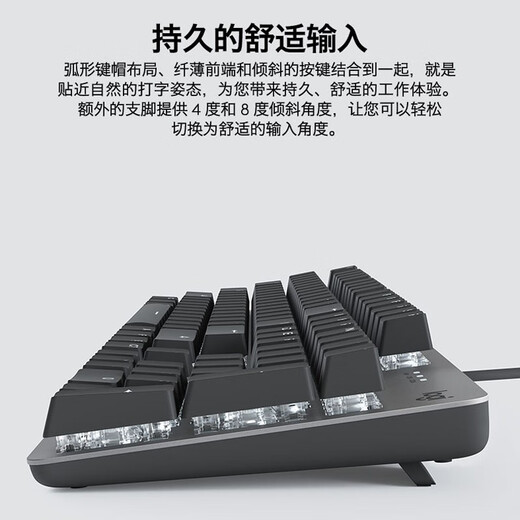 罗技（Logitech） G102 有线游戏鼠标 电竞键鼠套装 TTC轴 K845 背光有线游戏机械键盘 全尺寸 K845青轴-耿鬼+ G102黑-耿鬼防滑贴