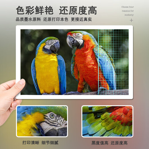 原鼓正品墨水 适用爱普生 Epson L805墨水彩色墨仓加墨式多功能打印机墨盒喷墨打印机填充674墨水 淡青色-LC【T6745】高清墨水