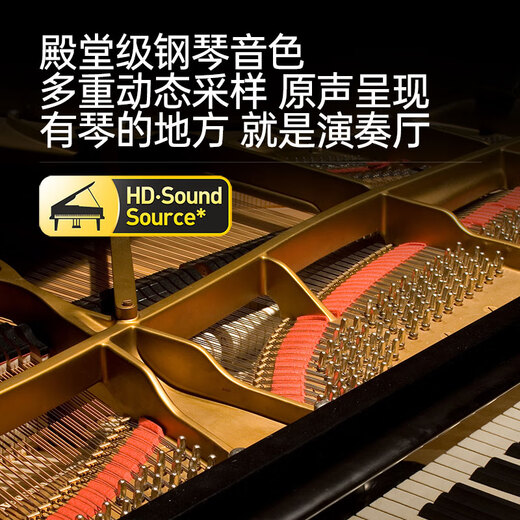 Terence (Terence) electric piano heavy hammer 88-key smart electronic piano for adults, digital piano for beginners to take exams for performers