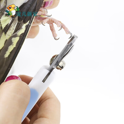 Beloved New Home Parrot Nail Clippers Bird Claw Nail Beak Tip Bird Nail Clippers Pet Obtuse Angle Scissors
