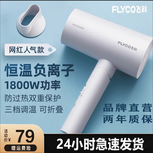 Secador de cabello de Feike High Power Secador de cabello Pelio Hogar Negativo Ion Negativo Aire caliente y caliente Secador de cabello silencioso FH6276 Feike FH6231 (Black 2000w)