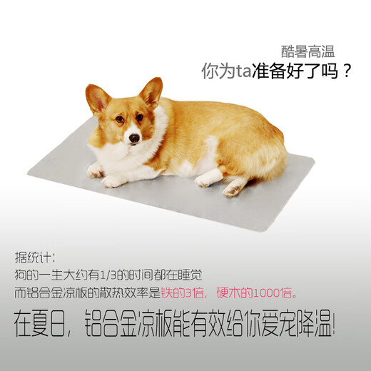 
The first concept of DOGSTORY pet cooling aluminum alloy plate dog, cat, hamster, rabbit, summer cooling and cooling plate protection, small pet special 15828cm