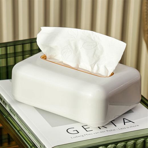 Leichte Luxus-Tissue-Box Wohnzimmer Haushaltsfrüchte Frühling Ziehkasten Wandmontierte Desktop Kreative Serviettenbox Aufbewahrung Bohnenpaste Grün/Fernbedienungssteuerung Tissue Box SF1392
