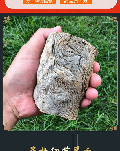 Bruder Carely Block Handstück Taihang Cliff Cypress Wolle Material gealtert Zypresse Holz altes Material Baumwurzelarmband Slingsshot 691