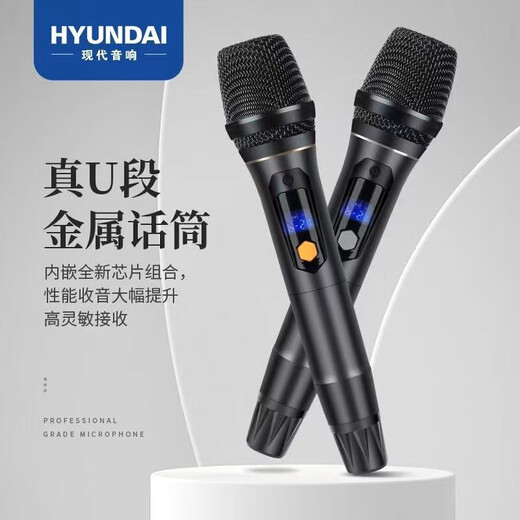 HYUNDAI现代家庭影院ktv音响套装家用k歌电脑电视客厅卡拉ok全套会议室卡包店铺专业功放音箱设备 【经典版】10吋音响套装