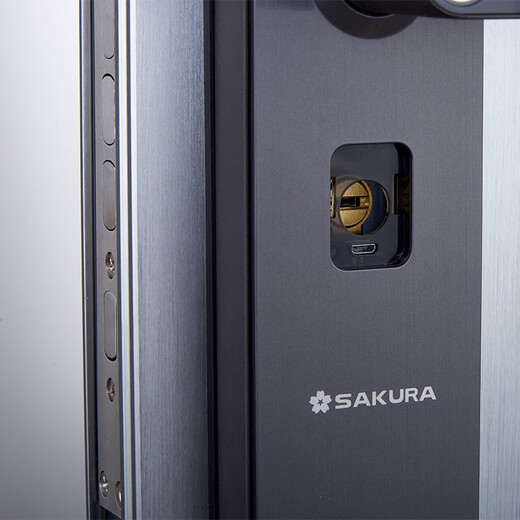 Sakura (Yinghua) DZ-6622 One-In-In-In-Holder-Eingangstür für Haushalt Eingangstür Kennwort Schloss Anti-Diebstahl Elektronische Türschloss Fingerabdruck Lock Passwort Lock Anti-Diebes DZ-6622/Kostenlose Installation
