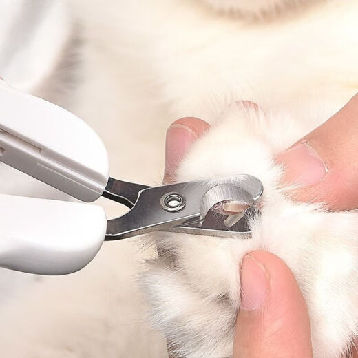 Huanpet.com cat nail scissors, cat nail clippers, cat claw scissors, pet nail clippers, kitten and kitten anti-shear blood line special artifact
