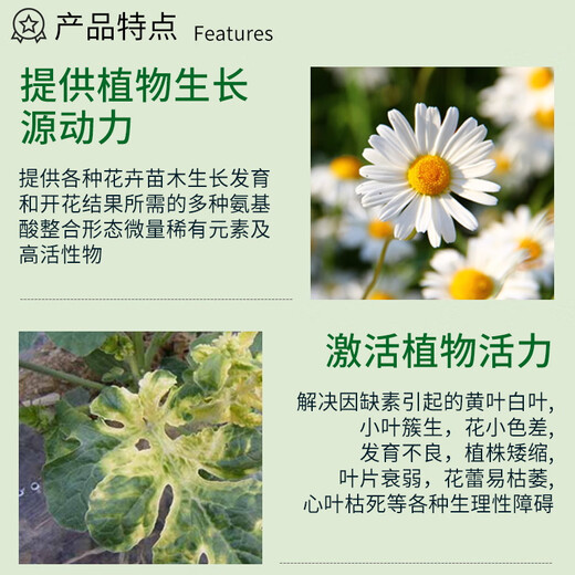 Guoguang Sitalin Trace Element Amino Acid Flower Fertilizer Foliar Fertilizer Yellow Leaf Flower Seedlings Vegetable Rose 100ml