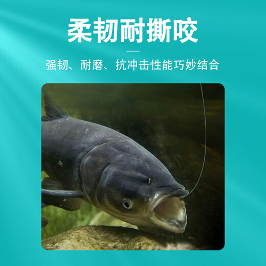 Damo Fishing Line Library Tou Dawu Line Wild Fishing Reservoir Strong Tension Fishing Line 150 Meters Kutou Dawu Line (General Purpose) No. 4.0