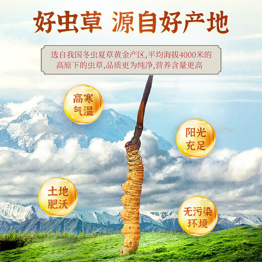 Jinyiyuan Cordyceps sinensis Productos nutricionales de líquidos orales para personas de mediana edad y ancianos para mejorar los productos de salud de inmunidad para el Día de regalo del Padre 5 cajas para ancianos, 1 caja de originales (6 cajas de Cordyceps sinensis Oral Liquid Regalo Box)
