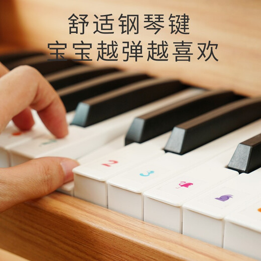 俏娃宝贝（QIAO WA BAO BEI）宝宝生日礼物儿童木质小钢琴玩具可弹1周岁礼物2-3岁男女孩幼儿园