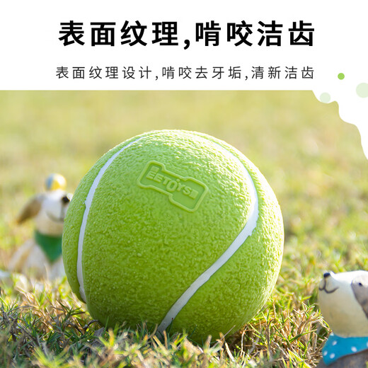 EETOYS Green Tennis Dog Toy Sound Interactive Washable Teeth Cleaning Ball Pet Supplies