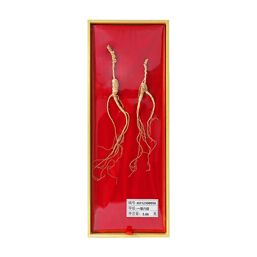 Boîte-cadeau Shenxiang Yeshan Ginseng dans le nord-est de la Chine pendant plus de 15 ans trempé dans du vin 5 grammes de ginseng Double cadeau Dragon Boat Festival Gift
