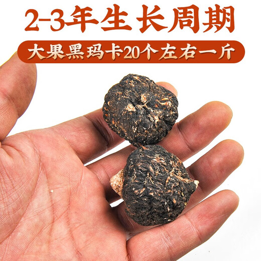 
Grain, Yunnan Lijiang Black Maca Chinese herbal materials, raw materials, dried fruit slices, maca slices, maca slices, male nourishing wine soaked in water, maca slices, 500 grams, Cistanche, total of 500 grams