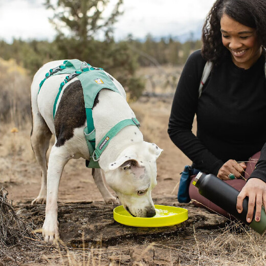 Ruffwell ruffwear Kemp Frisbee pet dog toy small dog Teddy Shiba Inu golden retriever puppy dog training artifact sumac red L