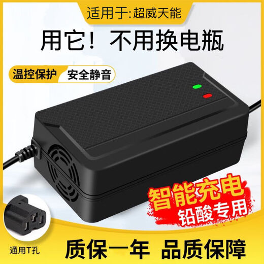 桐汝壁超威通用两轮三轮电动车电瓶车充电器4860729620AH 充满自停款 4840AH通用T孔