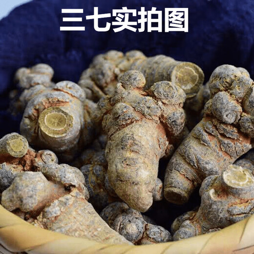 
Xiao Churen [Official Direct] Selected Panax notoginseng Yunnan Wenshan Selected Spring Panax notoginseng Authentic Tianqi Selected 15 heads and 15 without cutseng 500 grams [Medical Effect King]