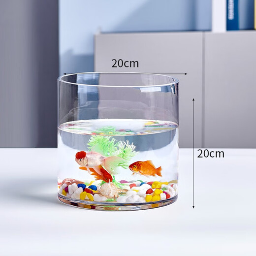 Gong Du Creative Desktop Fish Tank Ecological Round Glass Goldfish Tank Turtle Tank Mini Small Landscaping Home Aquarium Cylindrical Naked Tank Diameter 20CM Height 20CM