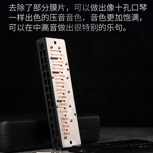 JDR&Clock Joint Quarz Quarz chromatische Mundharmonika 12-Loch-C-Taste, importierte Gongs, Innenfilmdesign, 12-Loch-Standard-Stimmversion + Tastenöl + Klavier-Demontagewerkzeuge