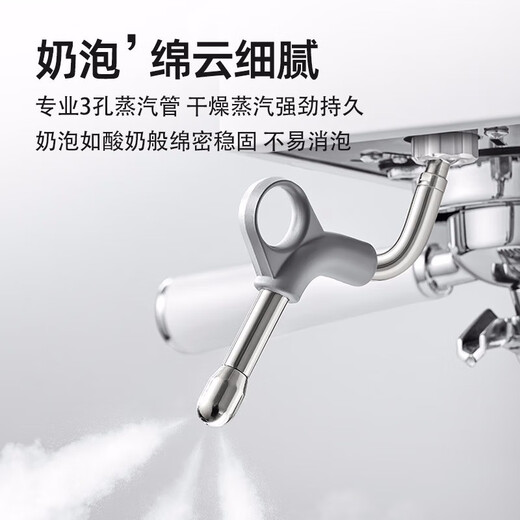
Baicui Coffee Machine Dual Boiler Double Water Pump Household Retro Full Semi-Automatic Italian Coffee Machine with Steam Milk Froth Small All-in-One Machine Semi-Commercial PE3888 White-with Bean Grinder