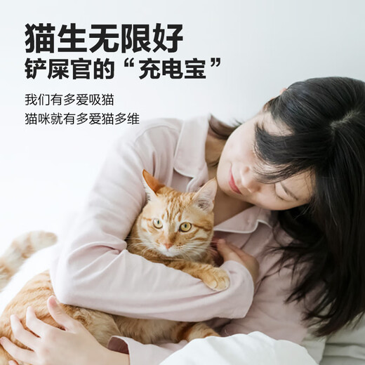Weishi Cat multi-dimensional 200 tablets + Cat intestine 200 tablets Cat vitamin probiotics Kitten adult cats to regulate stomach