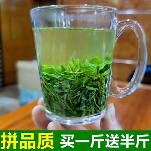 Hongyun 2024 New Tea Xinyang Maojian Alpine Cloud Green Tea Rain Spring Tea Strong Flavor Bulk 500g Buy half Jin Jin is equal to 0.5 kg + half Jin Jin is equal to 0.5 kg