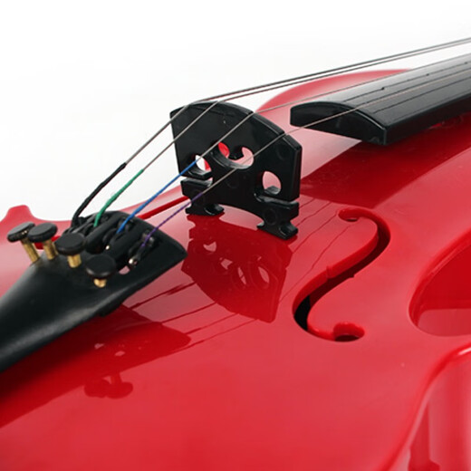 BAOLI Baoli early education musical instrument violin beginner's introduction to enlightenment music enlightenment toys 3-6 years old boys and girls birthday gifts