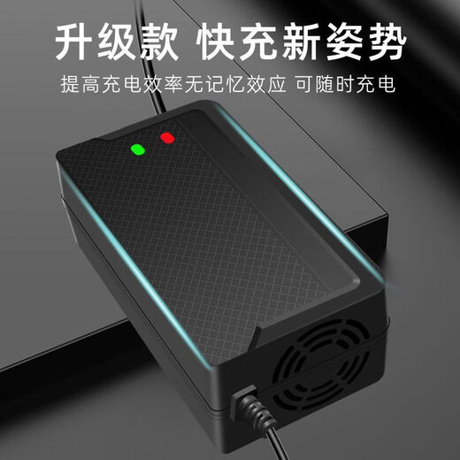 桐汝壁超威通用两轮三轮电动车电瓶车充电器4860729620AH 充满自停款 4840AH通用T孔