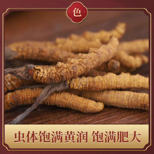 东紫云轩 冬虫夏草 6条1g GMP高标准 严控品质 中药材 中药饮片 1盒装