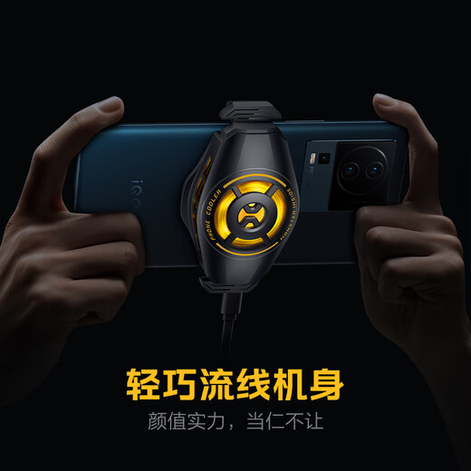 vivo iQOO散热背夹2 Neo 神秘黑 手机游戏散热器 半导体降温制冷 适配小米华为苹果一加黑鲨红魔努比亚