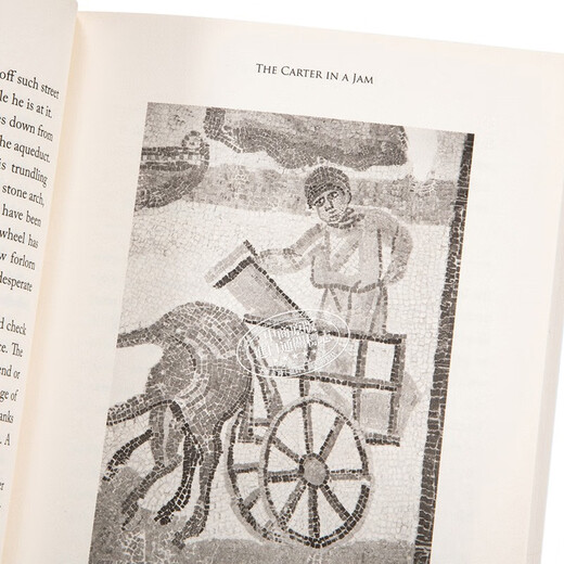 预售 古罗马二十四小时 英文原版 24 Hours in Ancient Rome 历史