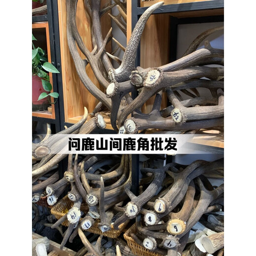 Yusange (yusange) deer antler teething stick for single dog, naturally resistant to chewing bones, snacks, chewing gum, Teddy Golden Retriever, Corgi French Bulldog puppy, large cut surface 200-220g (20-40kg dog)